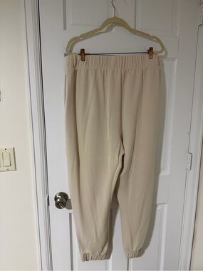 Express Neutral Drawstring Elastic Waist Pants - Cream